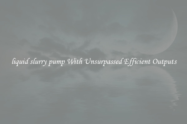 liquid slurry pump With Unsurpassed Efficient Outputs