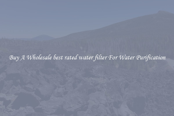 Buy A Wholesale best rated water filter For Water Purification