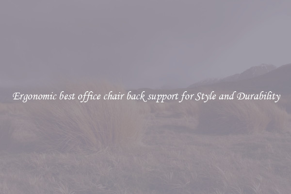 Ergonomic best office chair back support for Style and Durability
