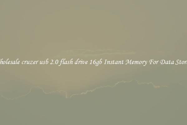 Wholesale cruzer usb 2.0 flash drive 16gb Instant Memory For Data Storage