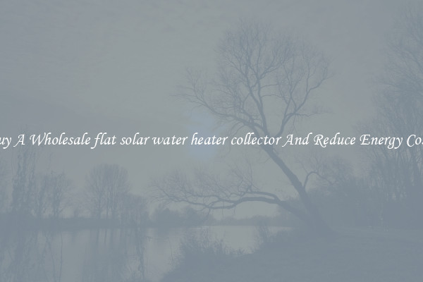 Buy A Wholesale flat solar water heater collector And Reduce Energy Costs