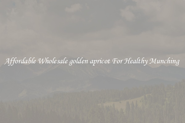 Affordable Wholesale golden apricot For Healthy Munching 