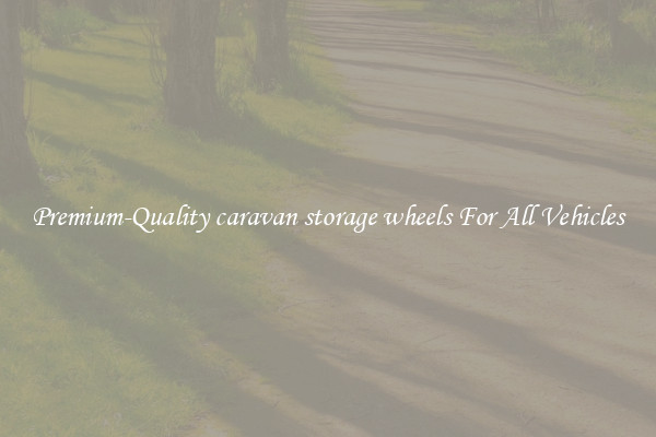 Premium-Quality caravan storage wheels For All Vehicles