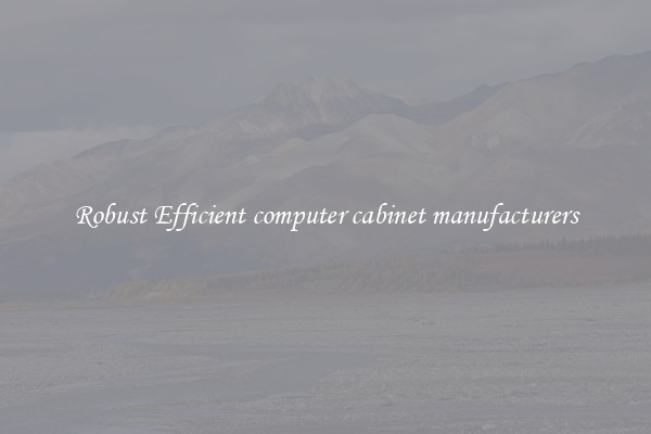 Robust Efficient computer cabinet manufacturers