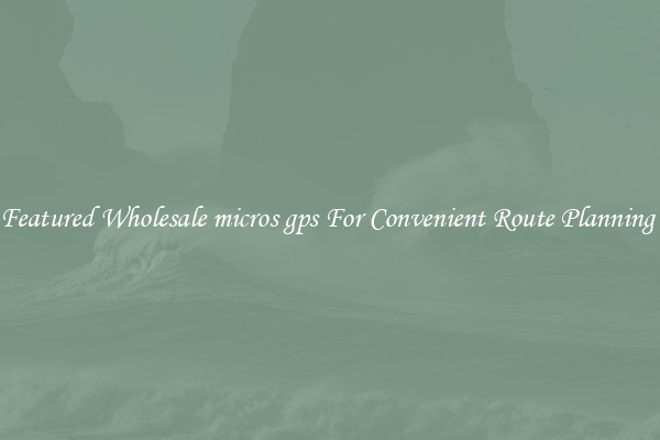 Featured Wholesale micros gps For Convenient Route Planning 