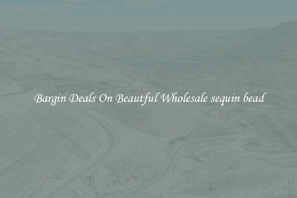 Bargin Deals On Beautful Wholesale sequin bead