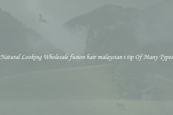 Natural Looking Wholesale fusion hair malaysian i tip Of Many Types