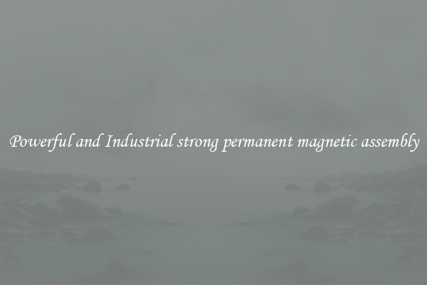 Powerful and Industrial strong permanent magnetic assembly