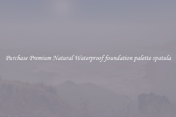 Purchase Premium Natural Waterproof foundation palette spatula