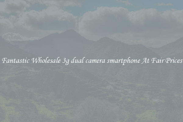 Fantastic Wholesale 3g dual camera smartphone At Fair Prices