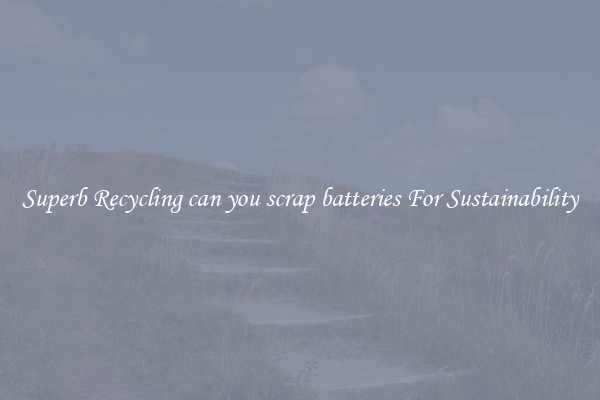 Superb Recycling can you scrap batteries For Sustainability