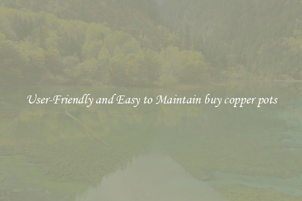 User-Friendly and Easy to Maintain buy copper pots