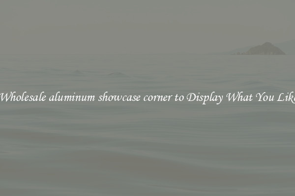 Wholesale aluminum showcase corner to Display What You Like