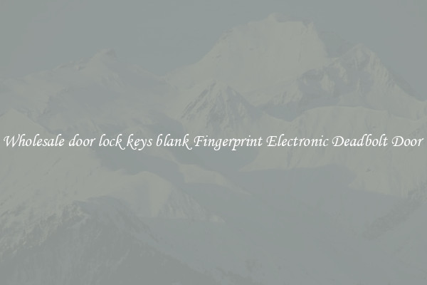 Wholesale door lock keys blank Fingerprint Electronic Deadbolt Door 