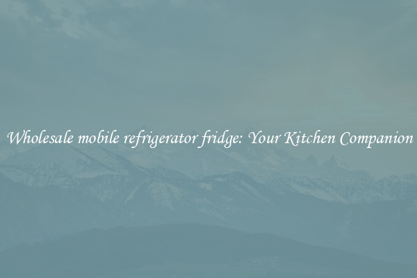 Wholesale mobile refrigerator fridge: Your Kitchen Companion